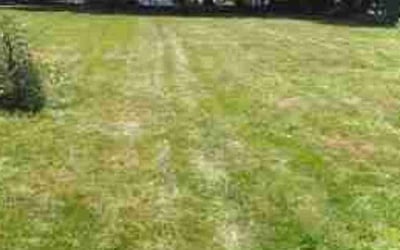 Photo of Jose S.'s yard after getting lawn care in Scituate, MA