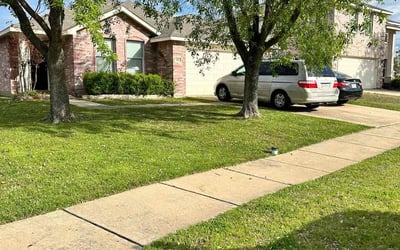 Photo of Allie J.'s yard after getting lawn care in Cary, NC