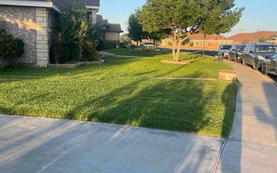 Photo of Laurie J.'s yard after getting lawn care in Odessa, TX