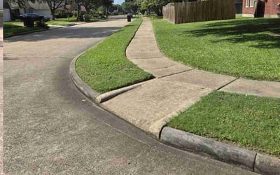 Photo of William F.'s yard after getting lawn care in Denison, TX