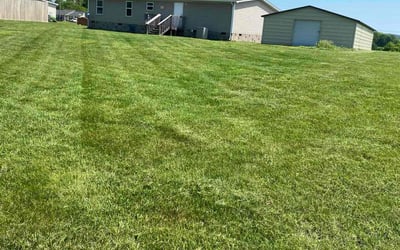 Photo of Heidi F.'s yard after getting lawn care in Rockwood, TN