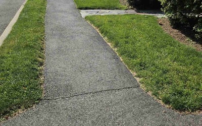 Photo of Tracey L.'s yard after getting lawn care in Calabash, NC