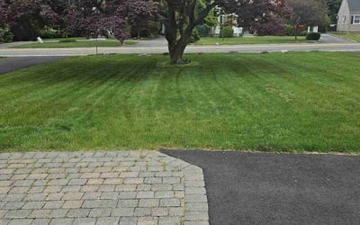 Photo of Gabrielle J.'s yard after getting lawn care in Wyckoff, NJ