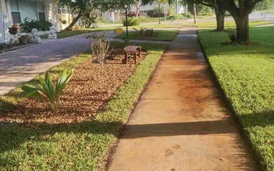 Photo of Shawna J.'s yard after getting lawn care in North Palm Beach, FL