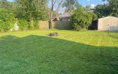 Photo of Diana M.'s yard after getting lawn care in New Port Richey, FL