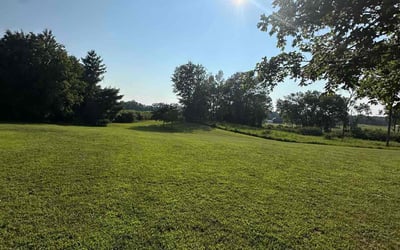 Photo of Matt H.'s yard after getting lawn care in Hopkinsville, KY