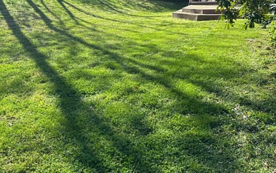 Photo of Kristina H.'s yard after getting lawn care in Brambleton, VA