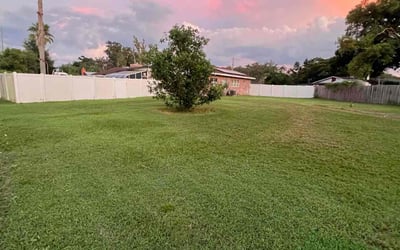 Photo of Mfoniso W.'s yard after getting lawn care in Bartow, FL