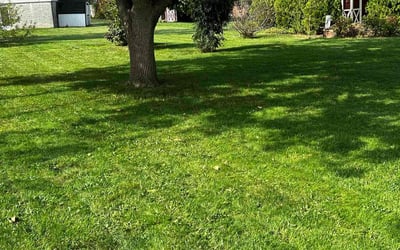 Photo of Christian P.'s yard after getting lawn care in Johnstown, PA