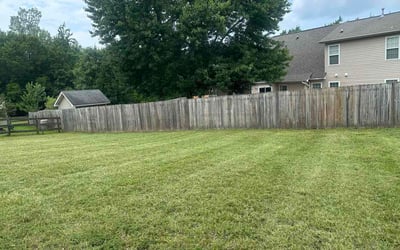 Photo of Leah V.'s yard after getting lawn care in Hickory, NC