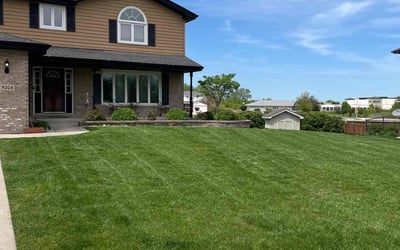 Photo of Michelle C.'s yard after getting lawn care in Riverdale, IL