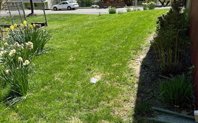 Photo of Audra R.'s yard after getting lawn care in Morristown, NJ