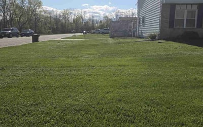 Photo of Brooke K.'s yard after getting lawn care in Wenatchee, WA