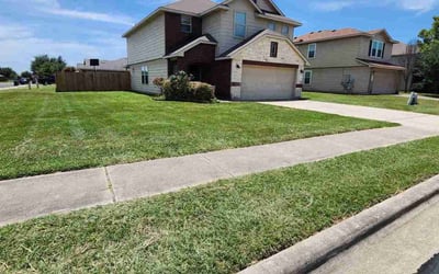 Photo of Nakia D.'s yard after getting lawn care in Temple Hills, MD