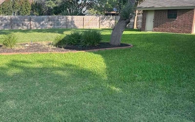 Photo of Amber M.'s yard after getting lawn care in San Antonio, TX