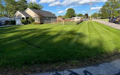 Photo of Myron B.'s yard after getting lawn care in Holland, OH
