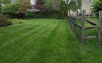 Photo of Terrance O.'s yard after getting lawn care in Warminster, PA