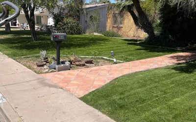 Photo of Myrna R.'s yard after getting lawn care in Mesa, AZ