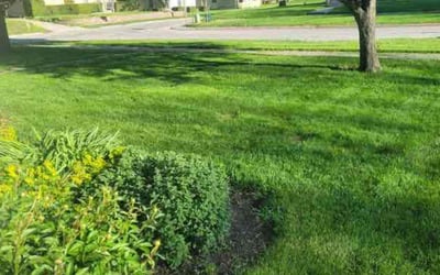 Photo of Derrell H.'s yard after getting lawn care in Indianola, IA
