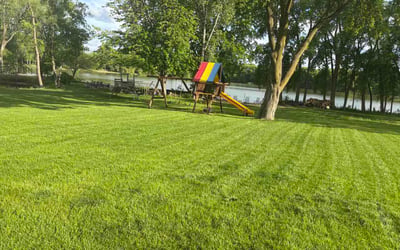 Photo of Diane A.'s yard after getting lawn care in New Richmond, WI