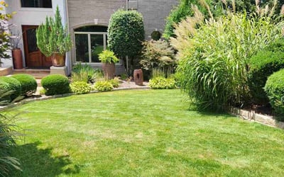 Photo of Desirae W.'s yard after getting lawn care in Little Rock, AR