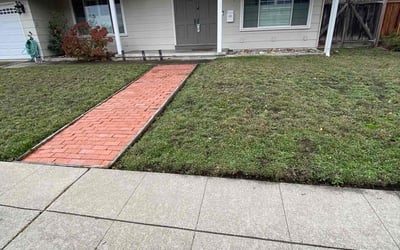 Photo of Harry W.'s yard after getting lawn care in Dublin, CA
