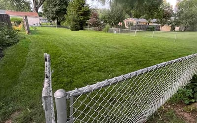 Photo of Jeremy W.'s yard after getting lawn care in Merrick, NY