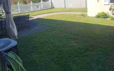 Photo of Beverley C.'s yard after getting lawn care in Point Pleasant Beach, NJ