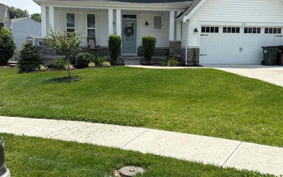 Photo of Sam V.'s yard after getting lawn care in Lewis Center, OH