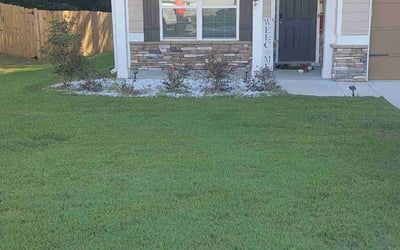 Photo of Gracee I.'s yard after getting lawn care in Newnan, GA