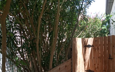 Photo of Paul K.'s yard after getting lawn care in Sussex, NJ