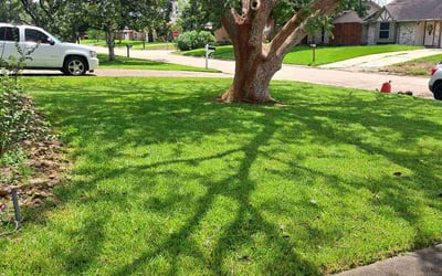 Photo of Kathy C.'s yard after getting lawn care in Kutztown, PA