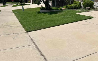 Photo of Tomeka H.'s yard after getting tree care in Plainfield, IL