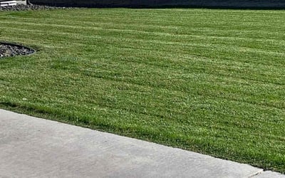 Photo of Valerie M.'s yard after getting lawn care in Pasco, WA