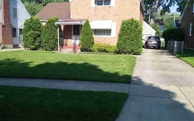 Photo of Molly A.'s yard after getting lawn care in East Aurora, NY