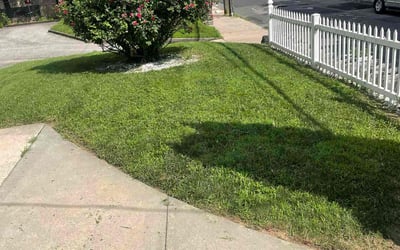 Photo of Brittani E.'s yard after getting lawn care in Dickinson, TX