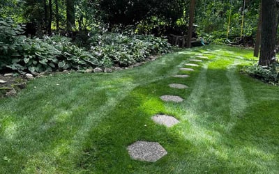 Photo of Kassidy R.'s yard after getting lawn care in Beach Park, IL