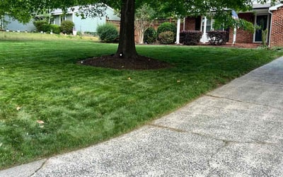 Photo of Alexandra M.'s yard after getting lawn care in Charlotte, NC
