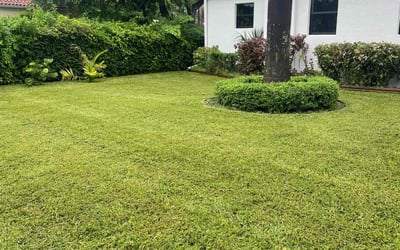 Photo of Bettina S.'s yard after getting lawn care in Hollywood, FL