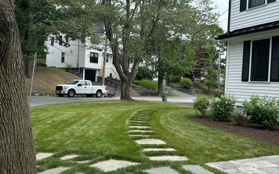 Photo of Rachell M.'s yard after getting lawn care in Arlington, MA