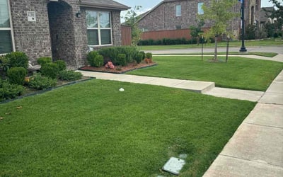 Photo of Daniel S.'s yard after getting lawn care in Forney, TX