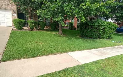 Photo of Michael C.'s yard after getting lawn care in Plymouth, MA