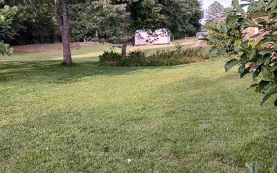 Photo of Kema L.'s yard after getting lawn care in Piedmont, SC