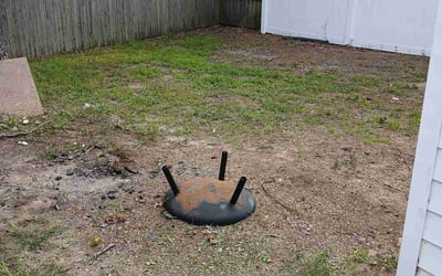 Photo of John H.'s yard after getting lawn care in Boulder, CO