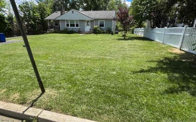 Photo of Michelle S.'s yard after getting lawn care in Orange, NJ