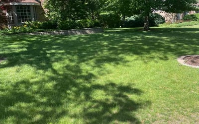 Photo of Nancy C.'s yard after getting lawn care in Burr Ridge, IL