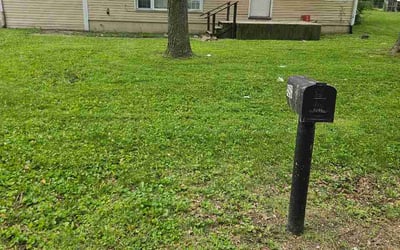 Photo of Ashley W.'s yard after getting lawn care in Black Mountain, NC