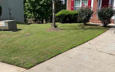Photo of Ave J.'s yard after getting tree care in Locust Grove, GA