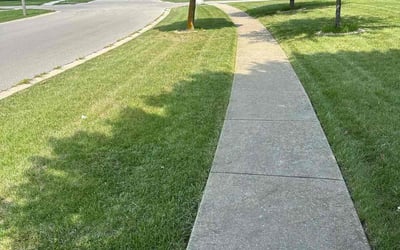 Photo of Haley V.'s yard after getting lawn care in Burr Ridge, IL