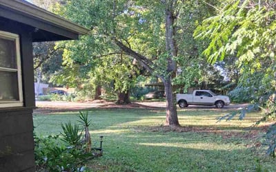 Photo of Ruth N.'s yard after getting lawn care in Gainesville, GA
